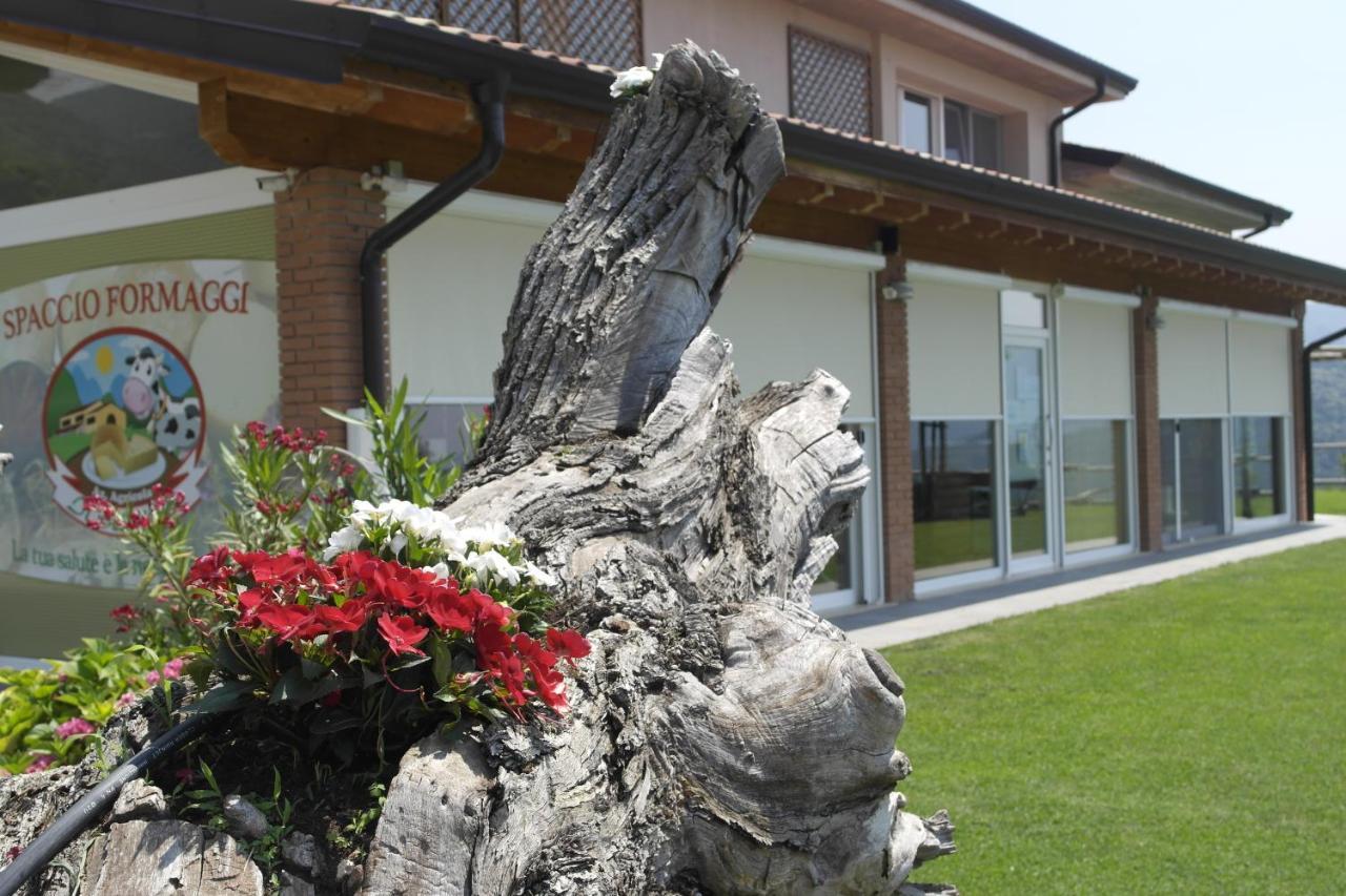 Agriturismo Fattoria Monte Baldo Vista Lago Caprino Veronese Extérieur photo